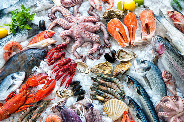 Australian Gourmet Foodbank Seafood